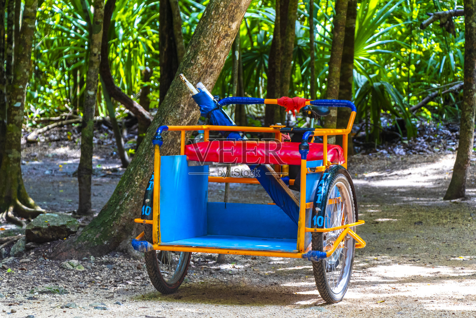 租一辆自行车三轮车穿过丛林科巴遗址。照片摄影图片