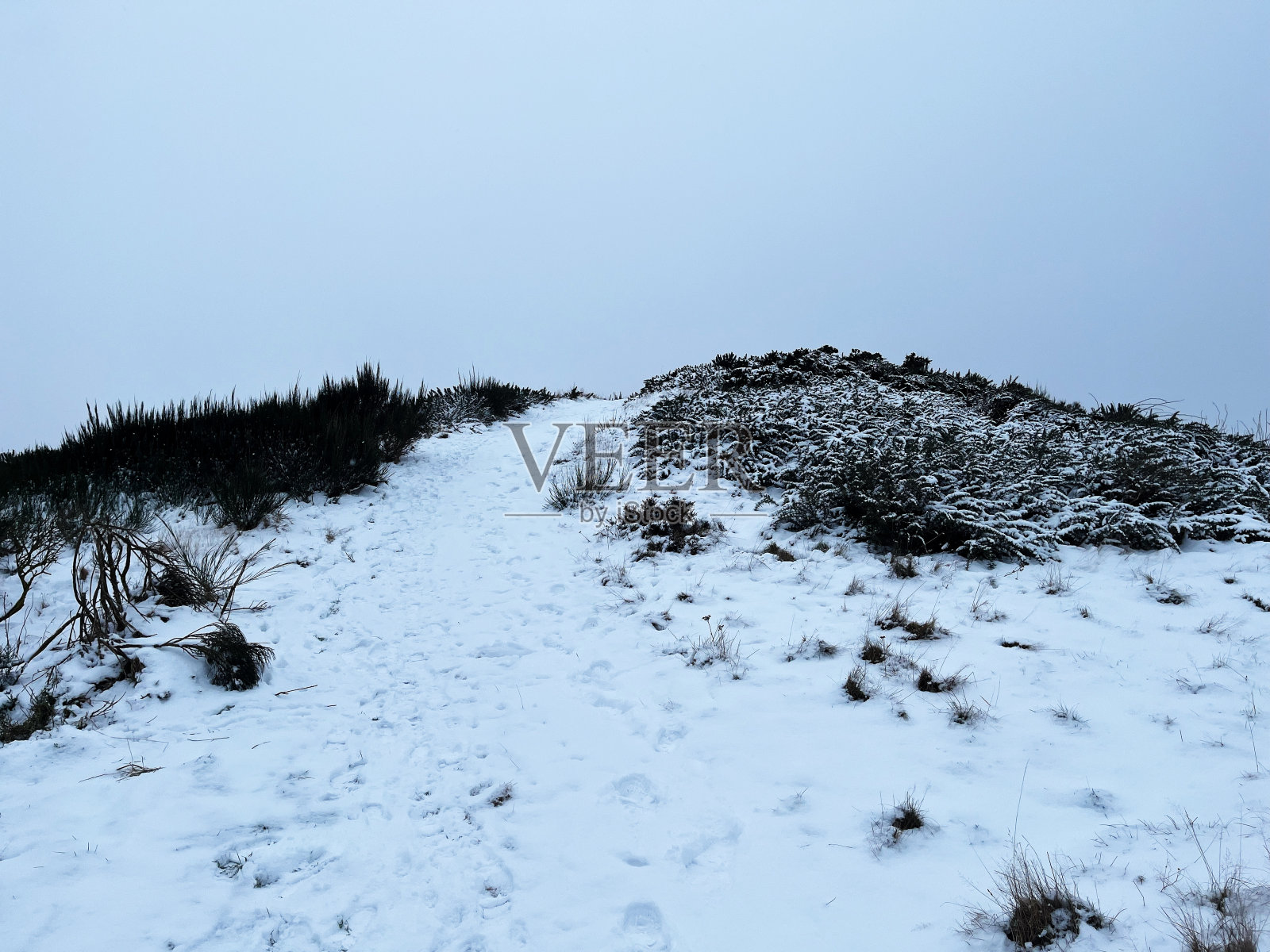 《雪中的托里照片摄影图片