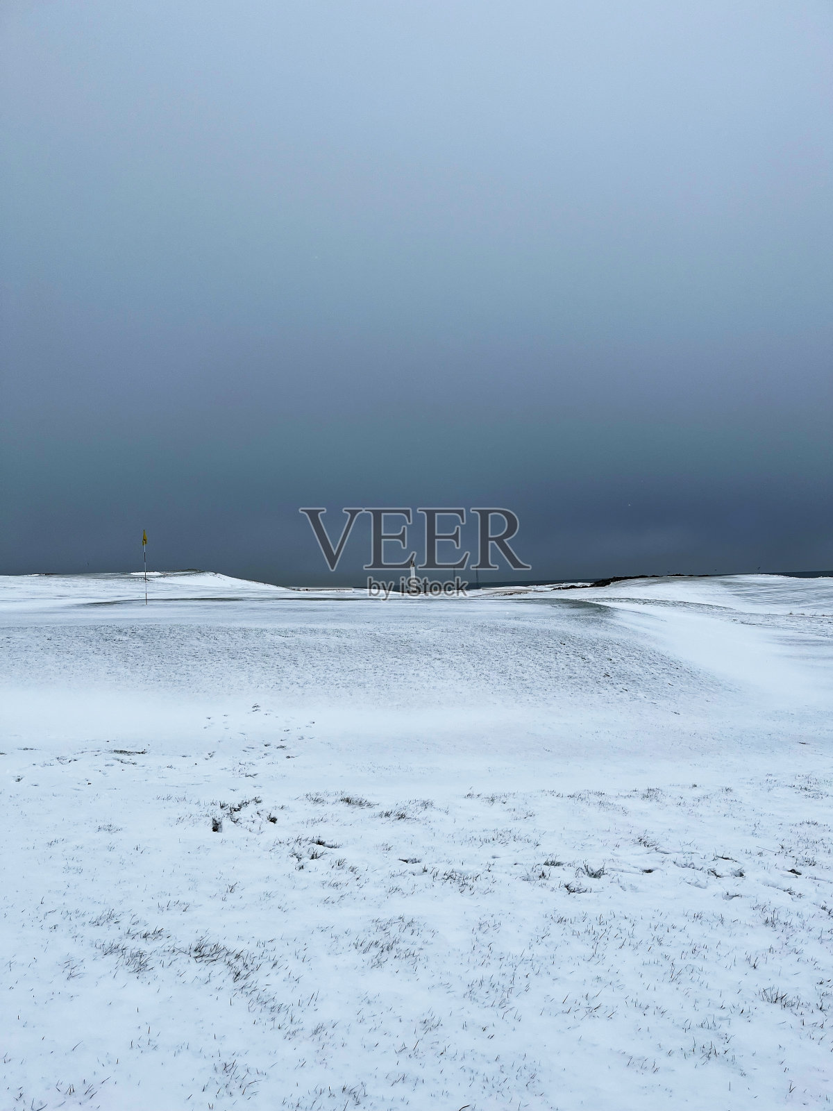 《雪中的托里照片摄影图片