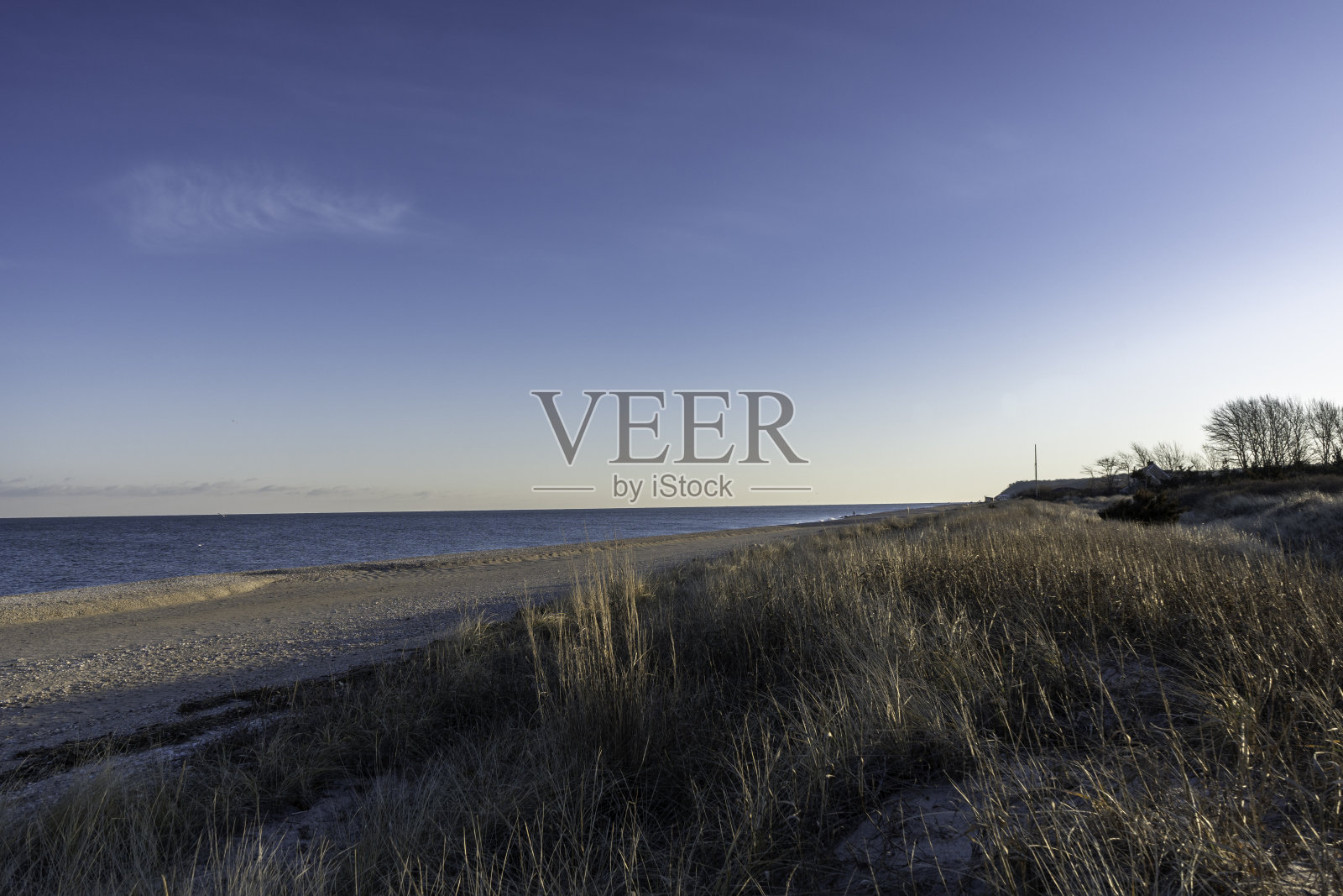 雪松海滩2号的早晨风景照片摄影图片