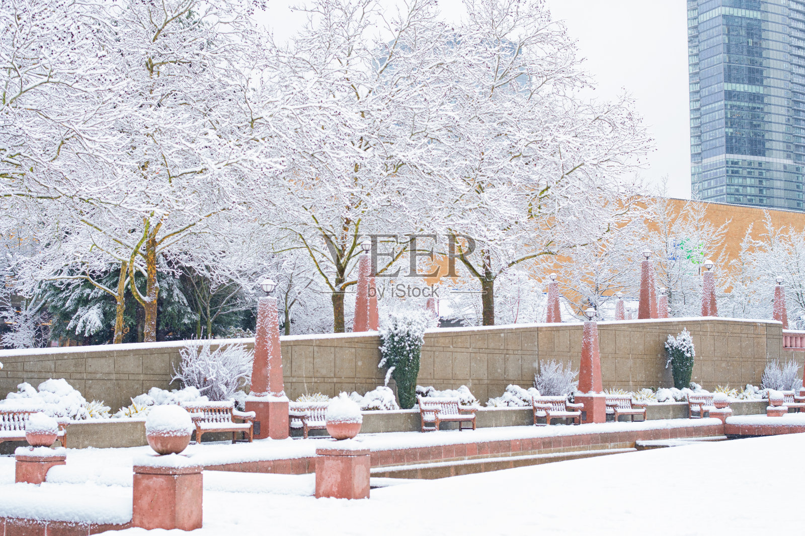 下雪天贝尔维尤公园照片摄影图片