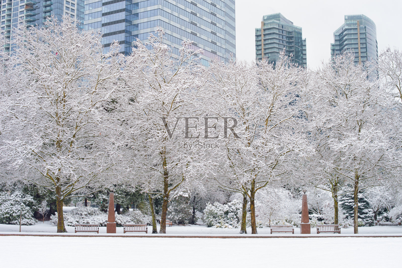 下雪天贝尔维尤公园照片摄影图片