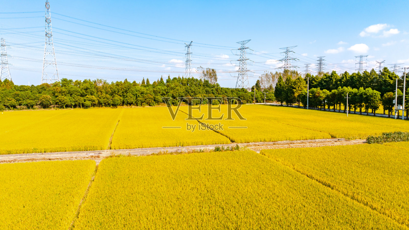 公路上稻田的航拍照片照片摄影图片