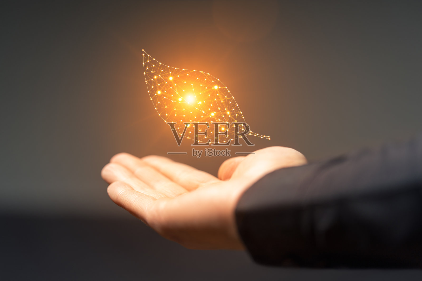 人工智能叶子符号在黑暗的背景上在手照片摄影图片