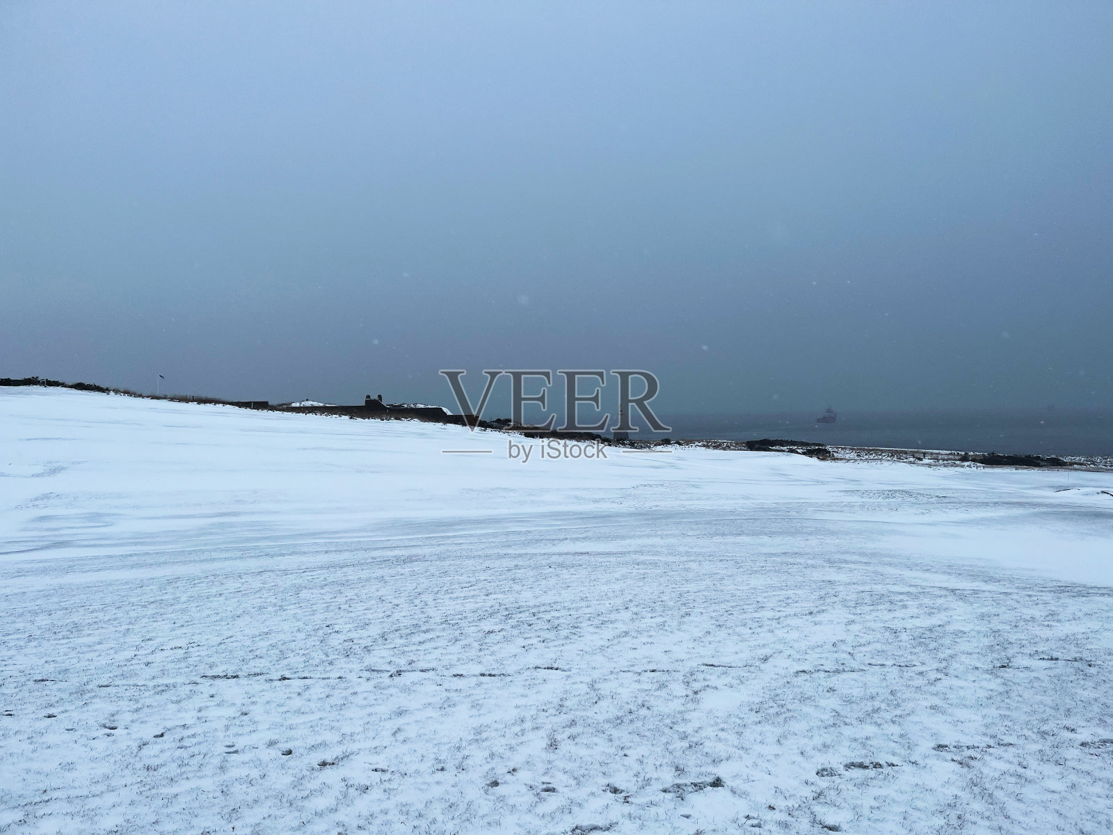 《雪中的托里照片摄影图片