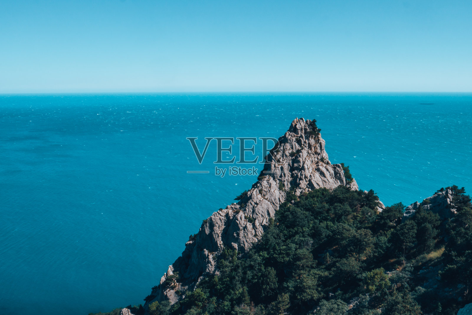 美丽的绿树从山上长出来。照片摄影图片