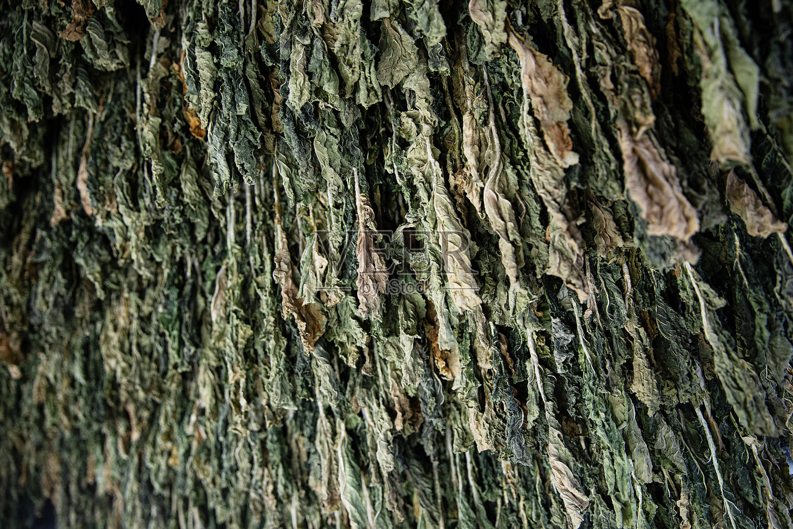 韩国食品配料照片摄影图片