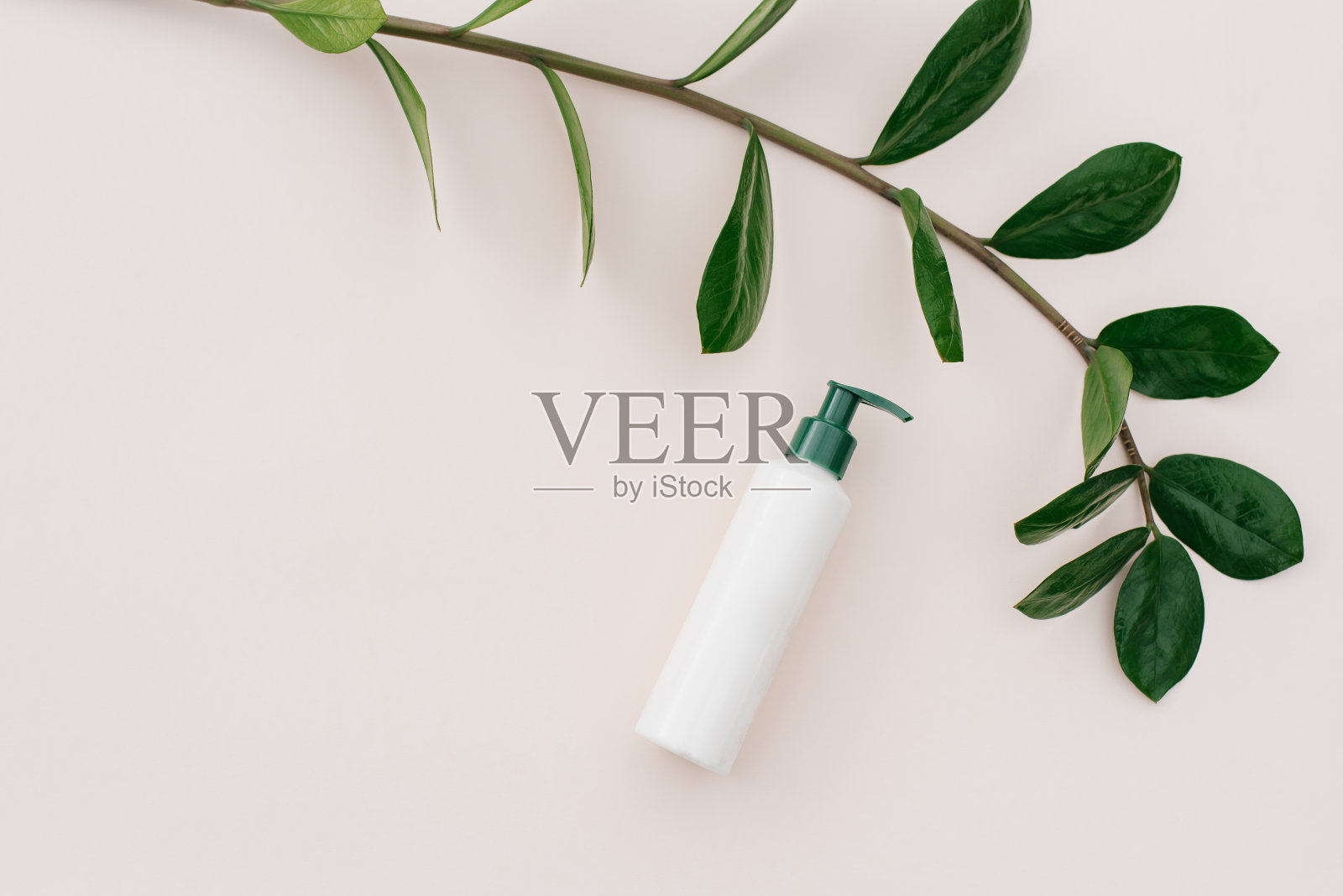 白色瓶子配上分配器，米色背景上是热带绿叶照片摄影图片