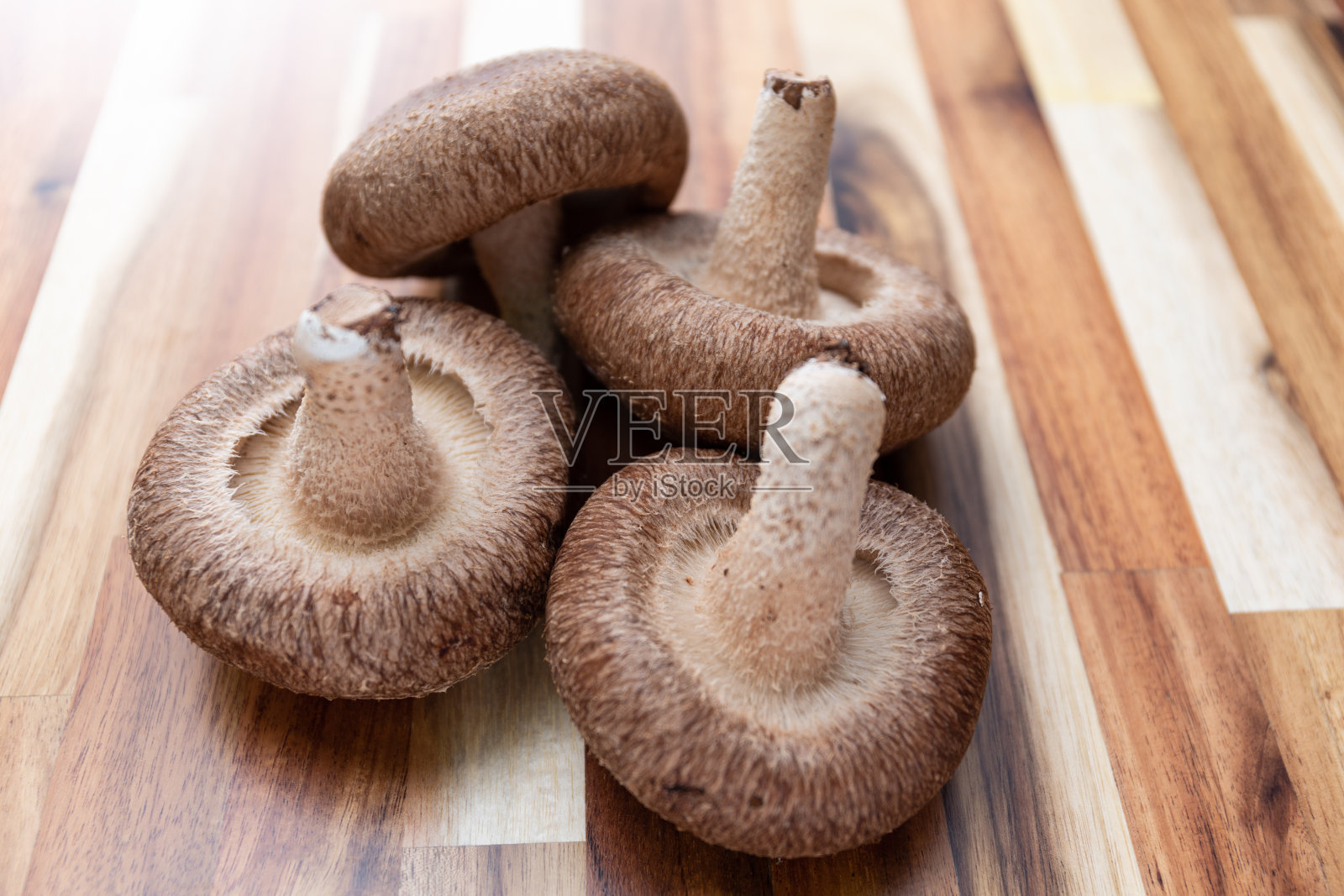 香菇照片摄影图片