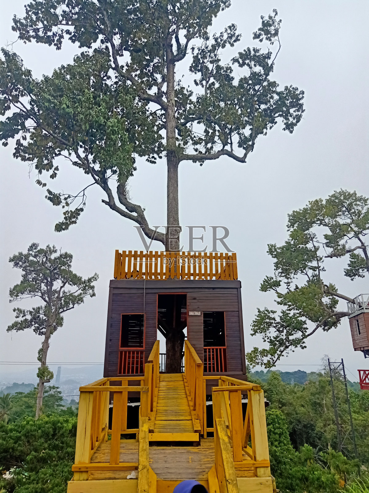 黄树屋照片摄影图片