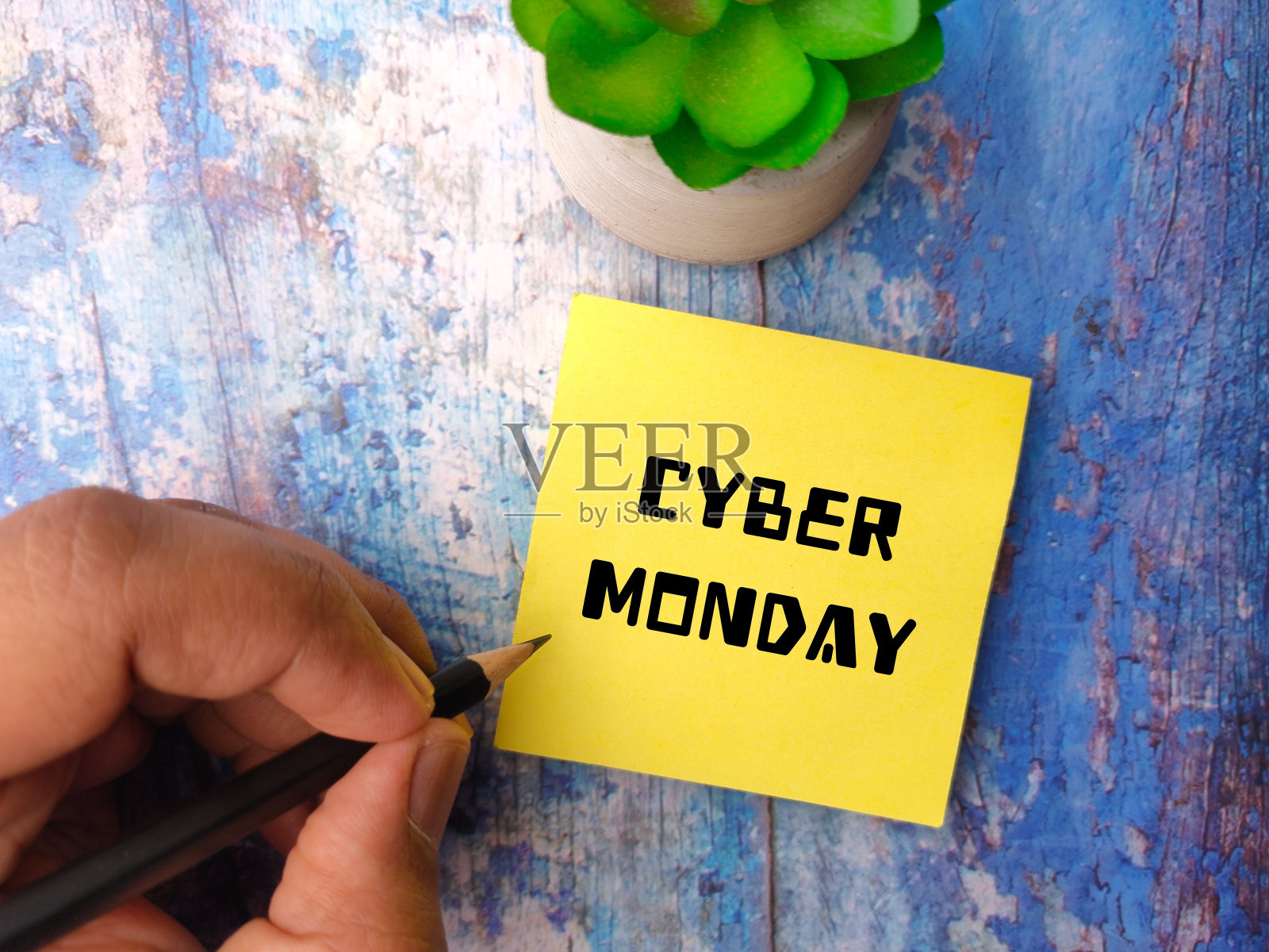 木质背景上绿色植物的网络星期一照片摄影图片