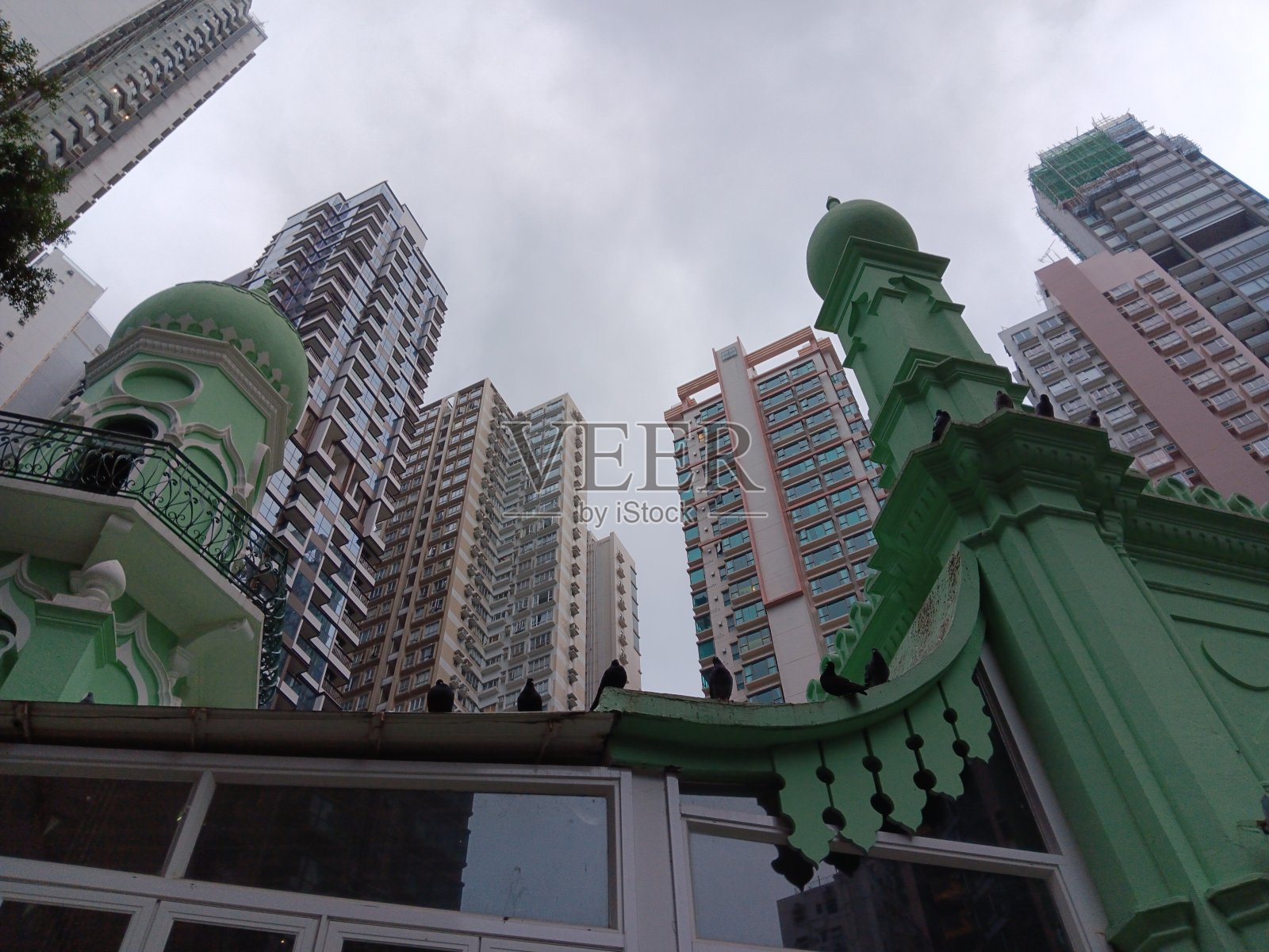 贾米亚清真寺上象征和平的鸽子照片摄影图片