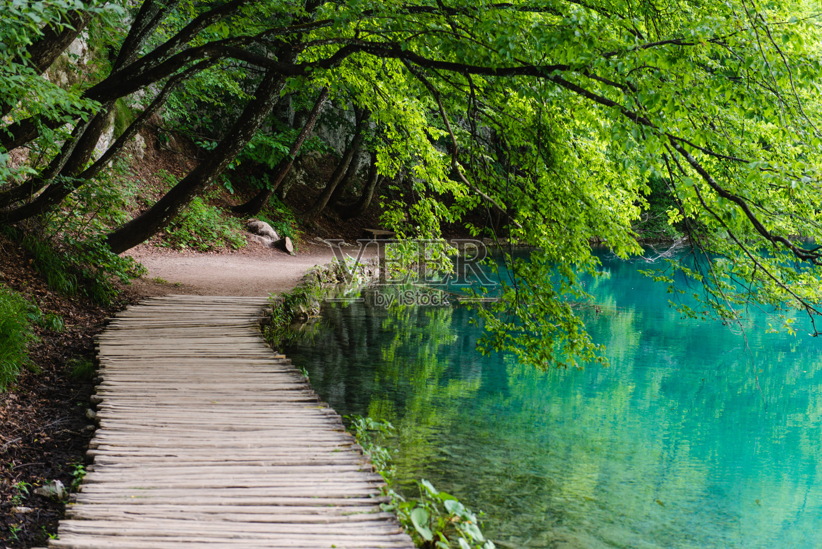 克罗地亚普利特维采湖国家公园的美景照片摄影图片