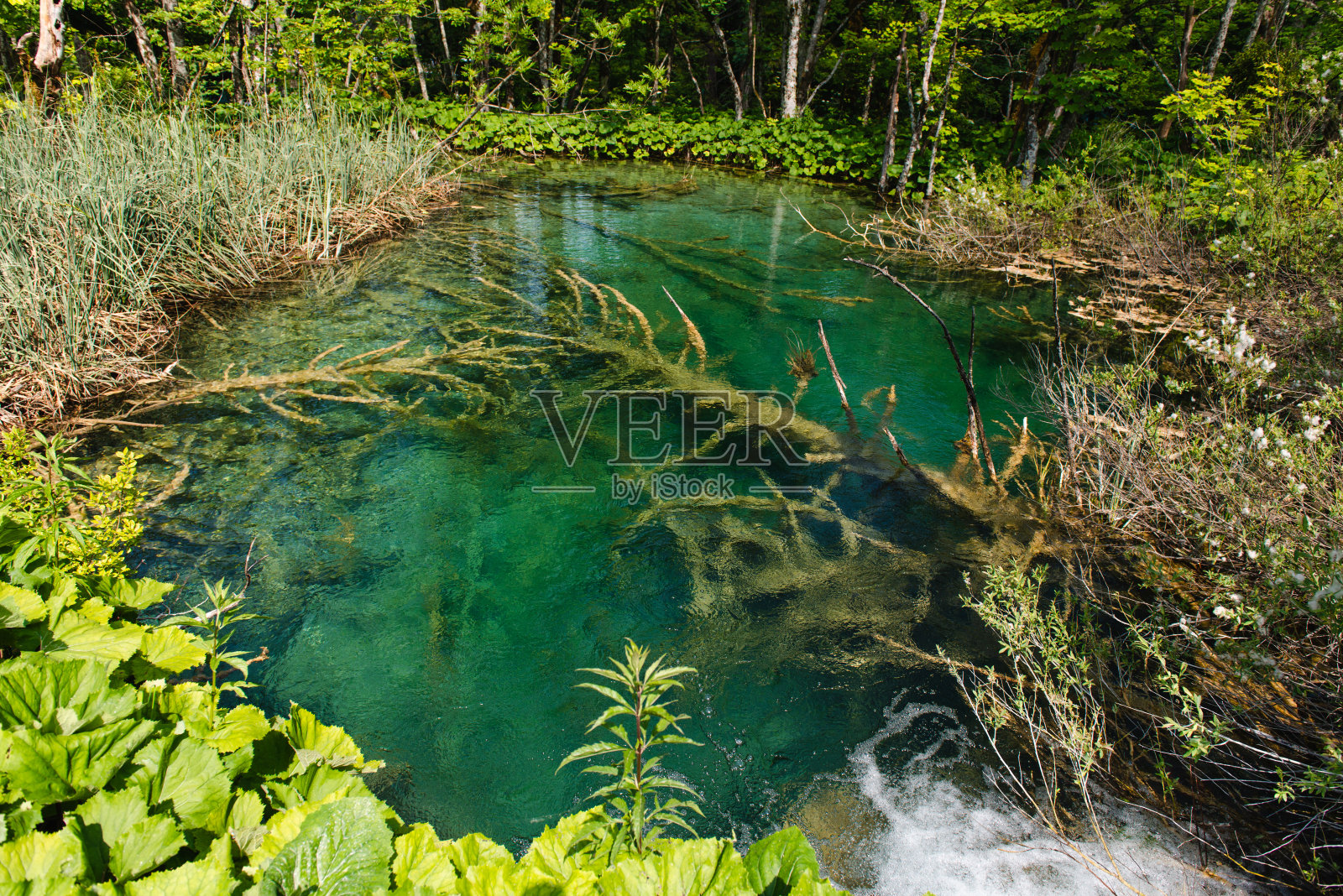克罗地亚普利特维采湖国家公园的美景照片摄影图片