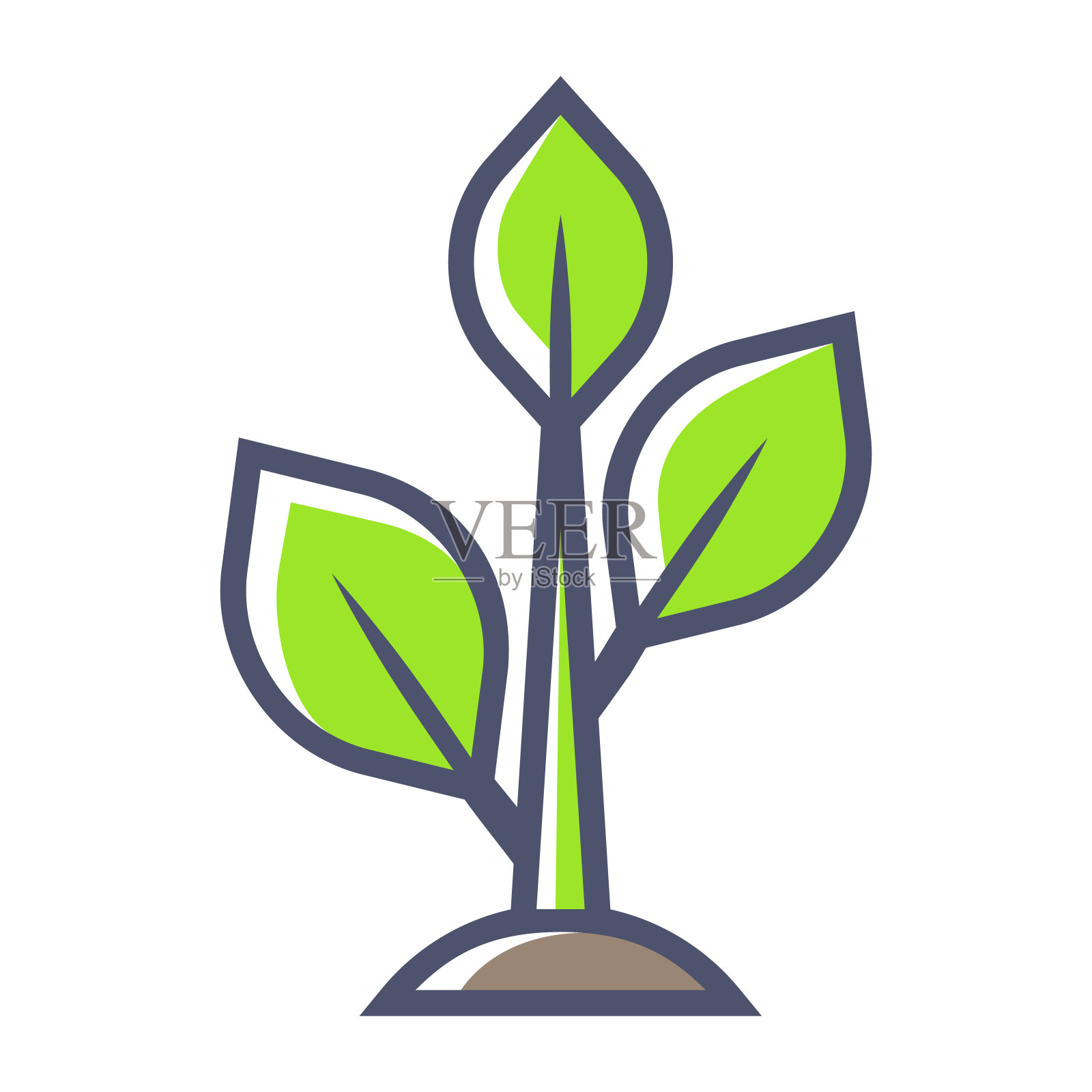 长出的嫩芽带着叶子。农业、栽培、种植插画。插画图片素材