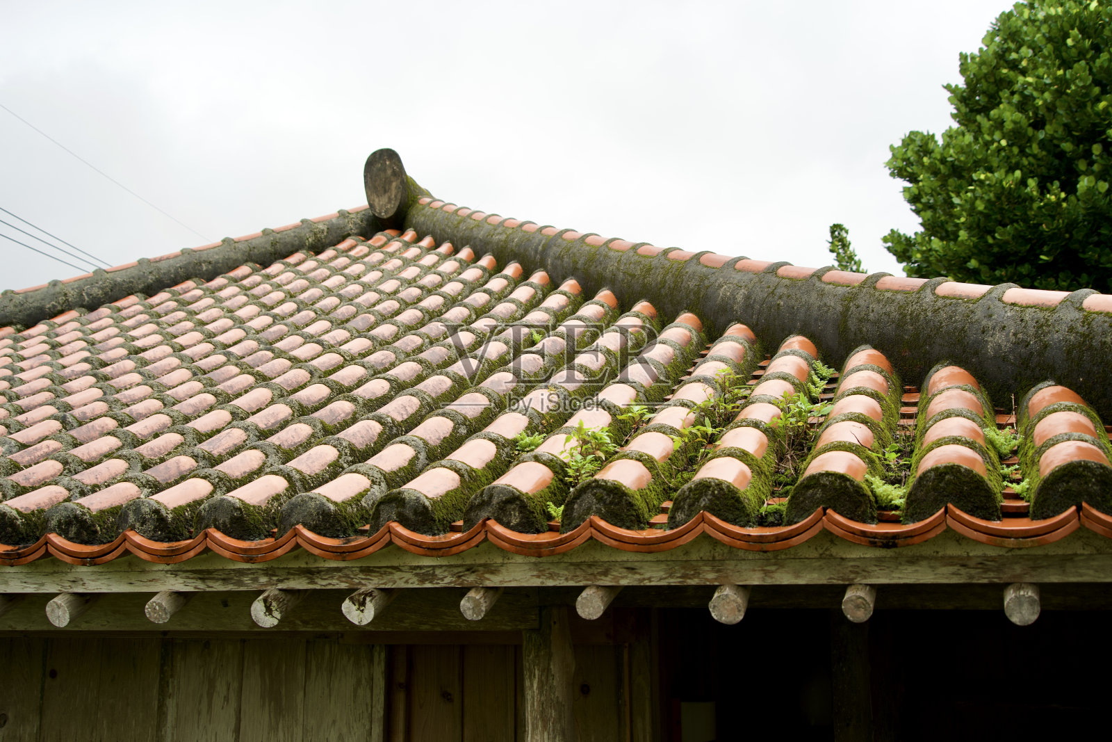 冲绳风格的屋顶在天气不好的时候长满了苔藓。照片摄影图片