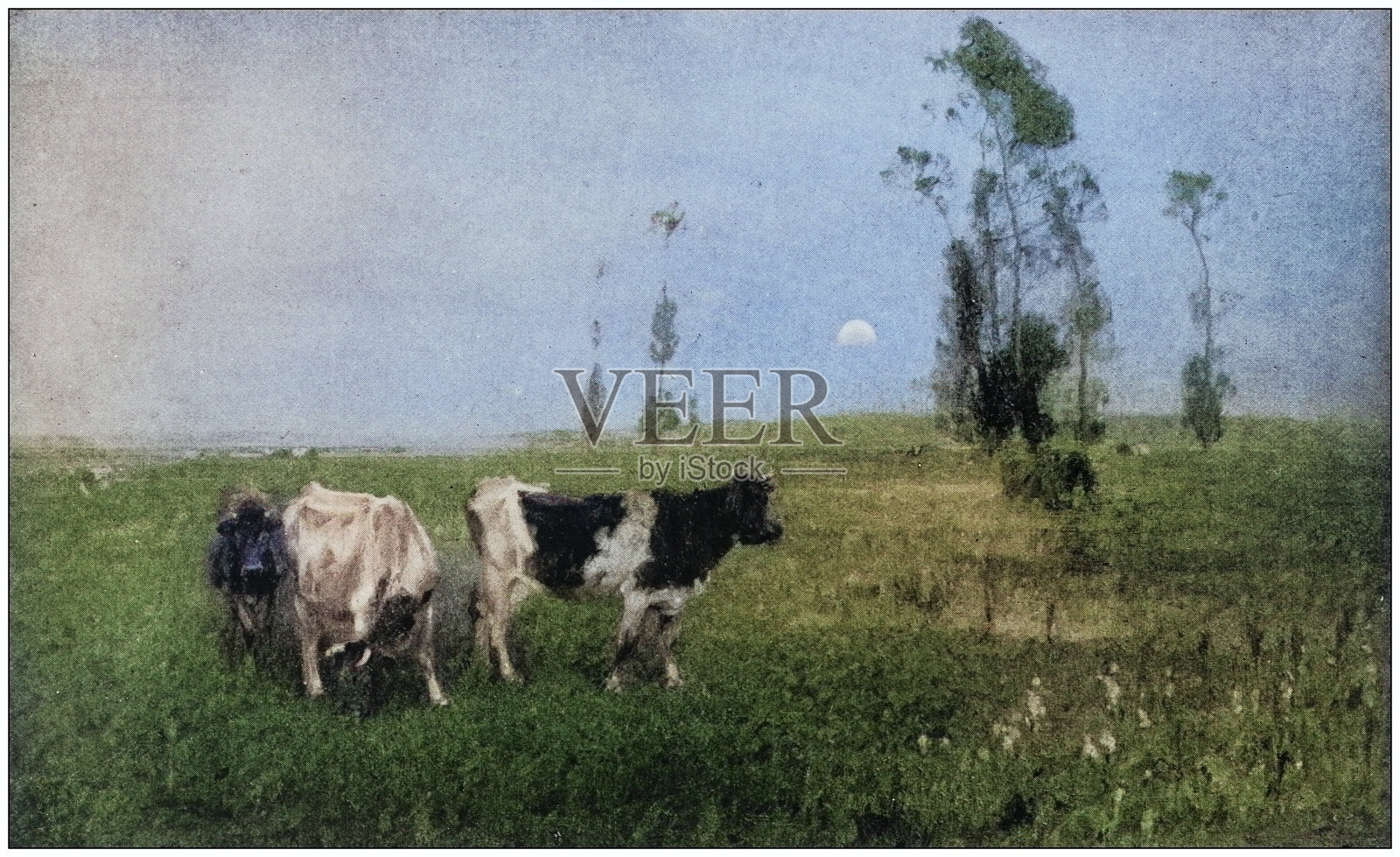 古色古香的绘画照片:户外动物插画图片素材