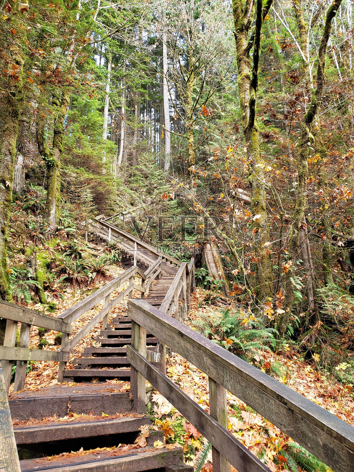 漫漫长路照片摄影图片