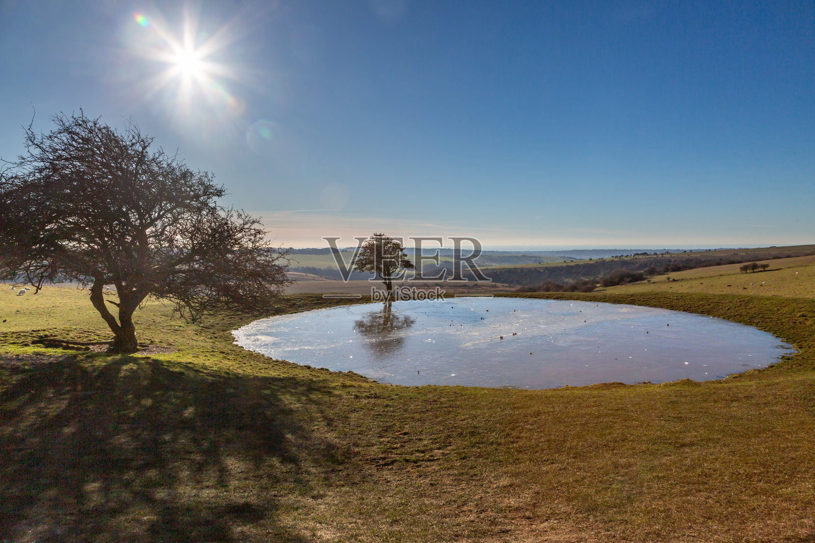 在一个寒冷但阳光明媚的一月早晨，水渠灯塔露水池塘结了冰照片摄影图片