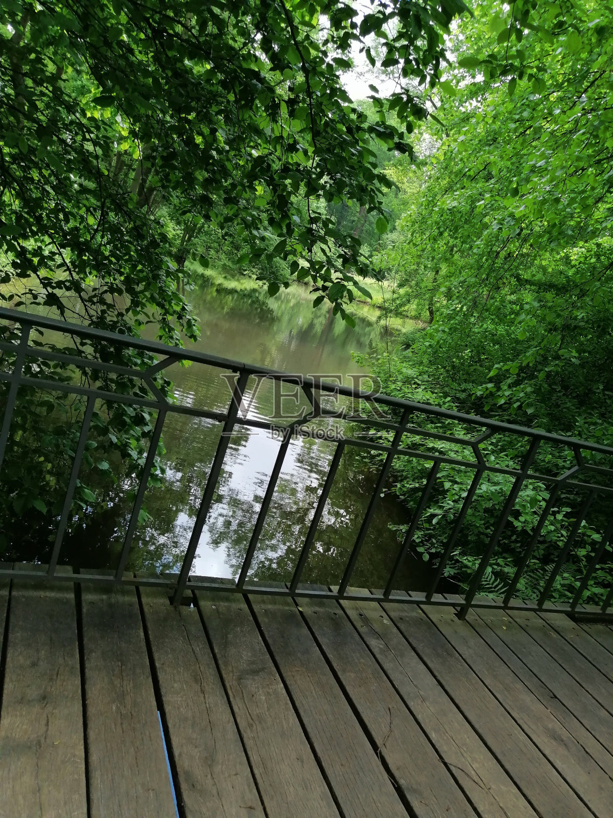 绿色照片摄影图片