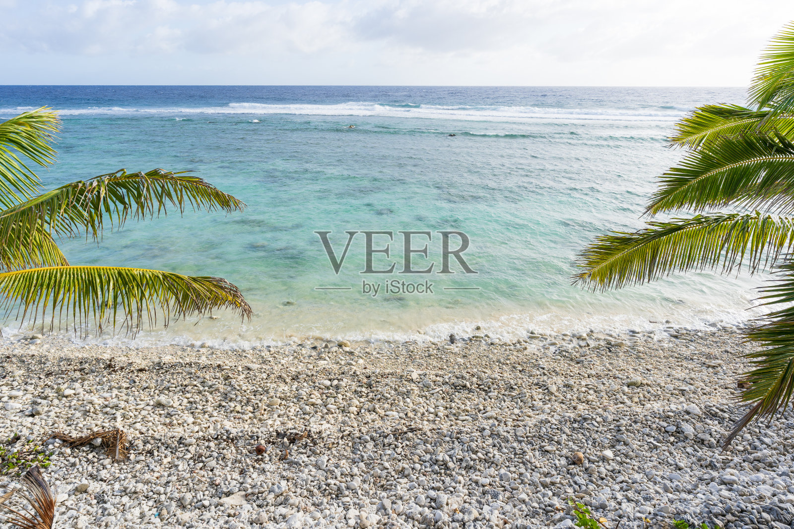 热带拉罗汤加岛上美丽的白色石滩照片摄影图片