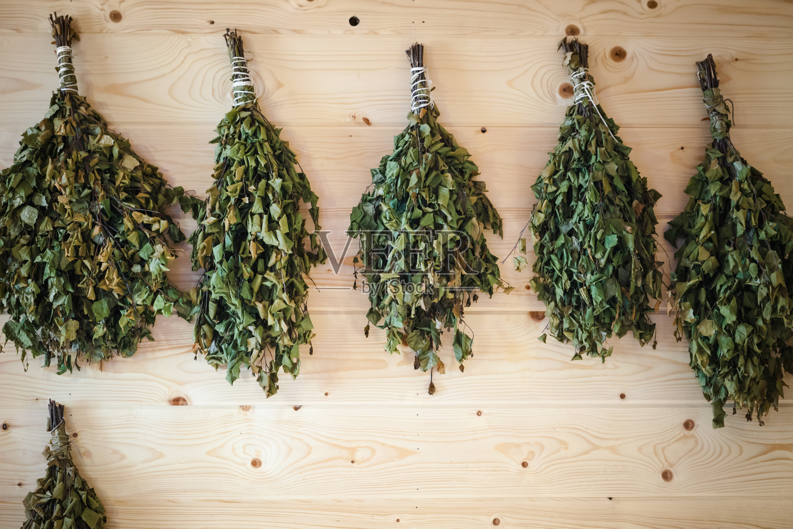 俄罗斯桑拿房里的墙上挂着桦树扫帚照片摄影图片