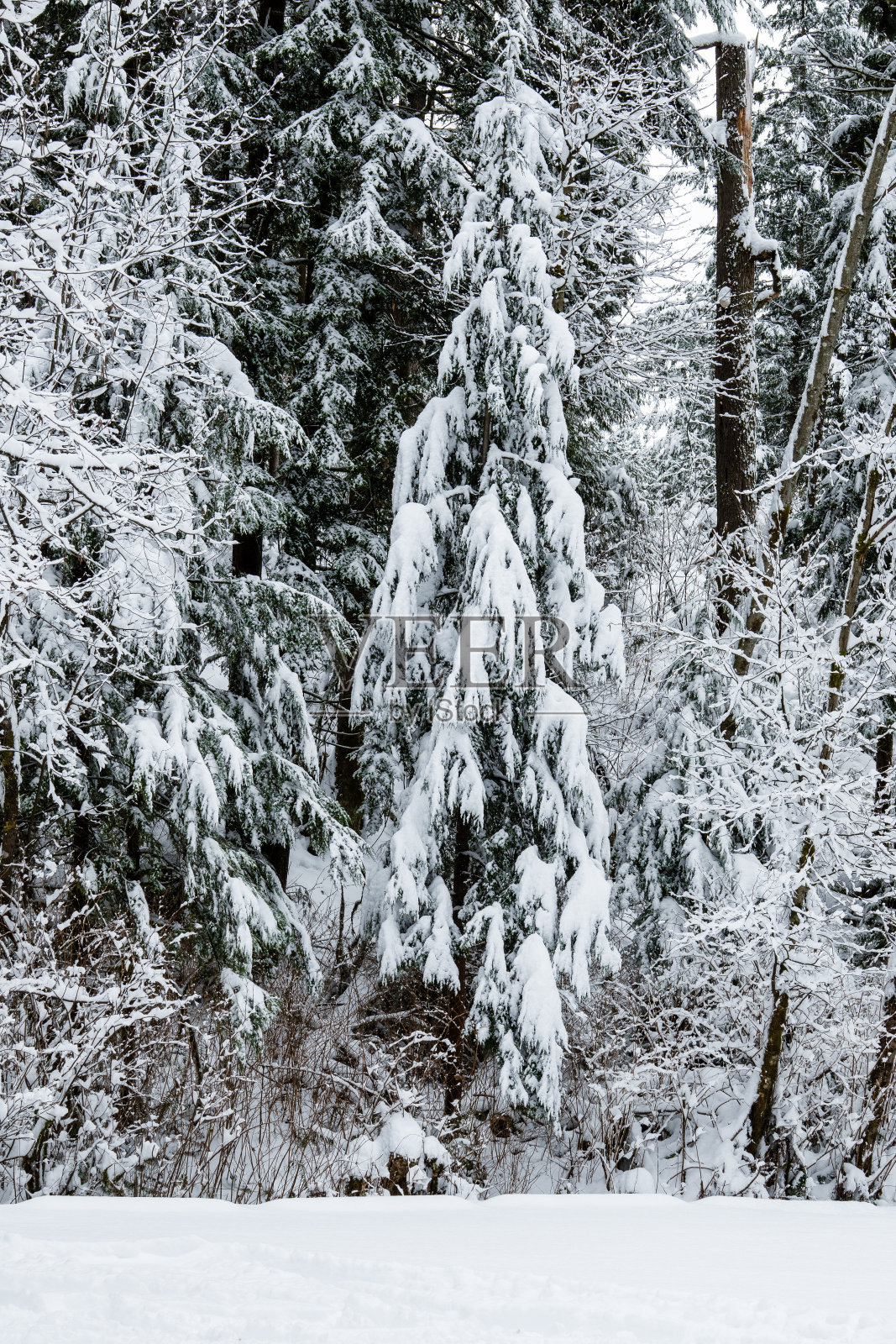 贝尔卡拉地区公园照片摄影图片