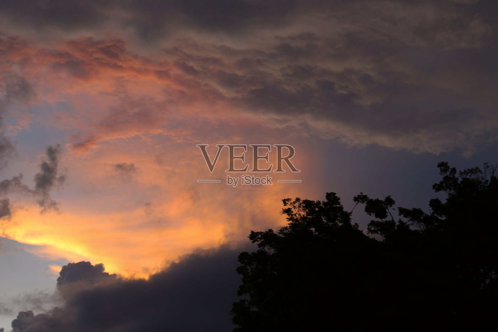 日落时的云彩和阳光，还有一棵树照片摄影图片