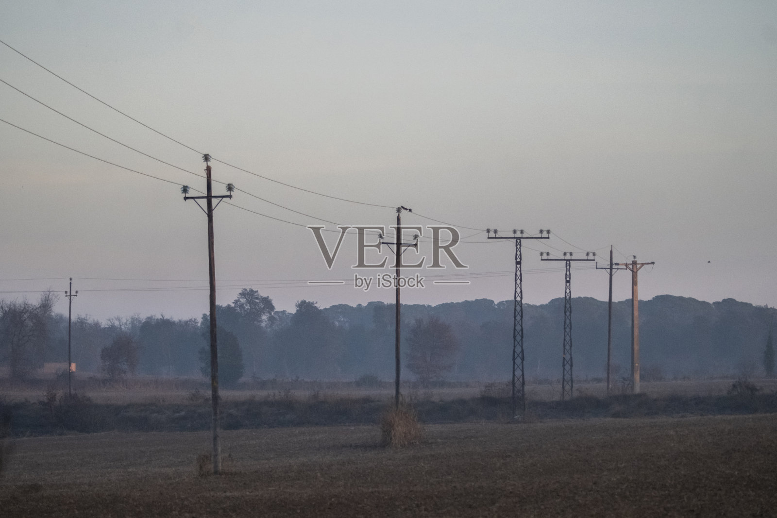 清晨风景照片摄影图片