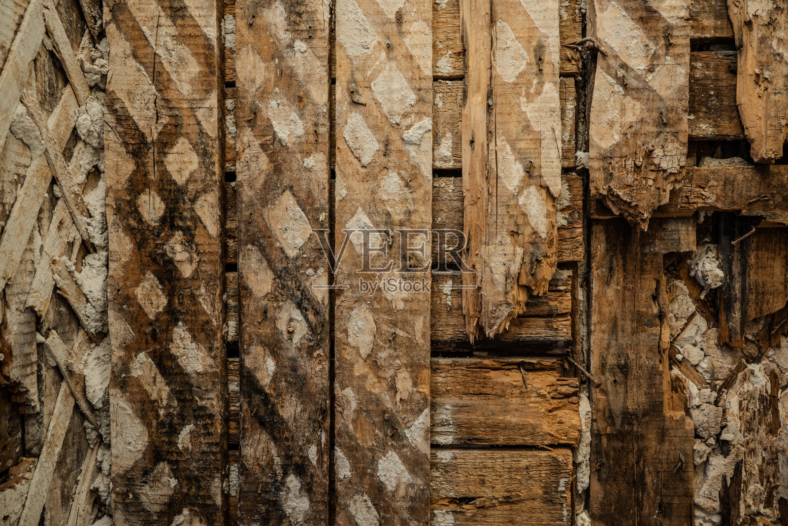 老木墙被白蚁破坏。特写镜头。腐烂的墙。照片摄影图片