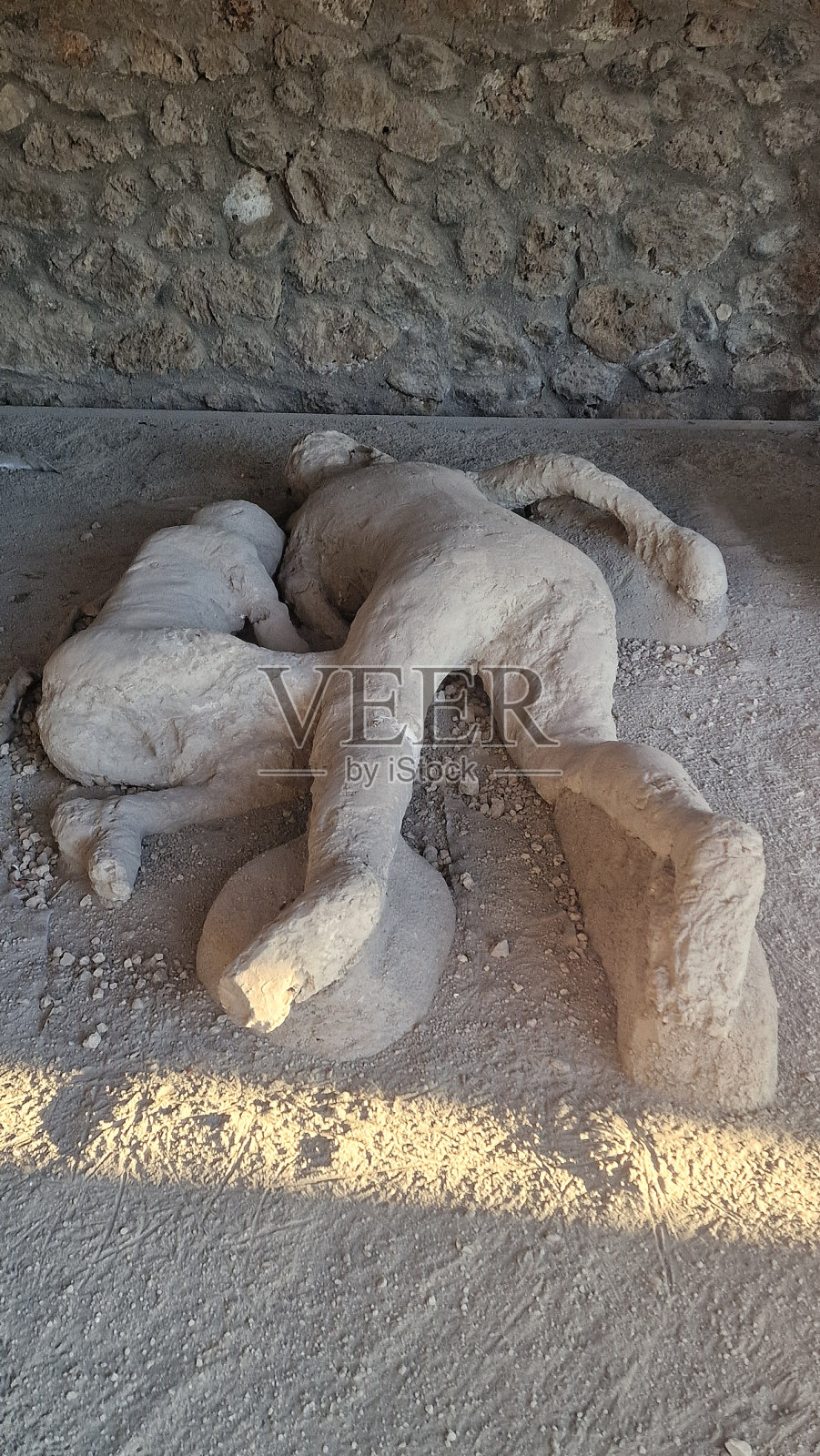 庞贝在阳光明媚的日子里漫步照片摄影图片