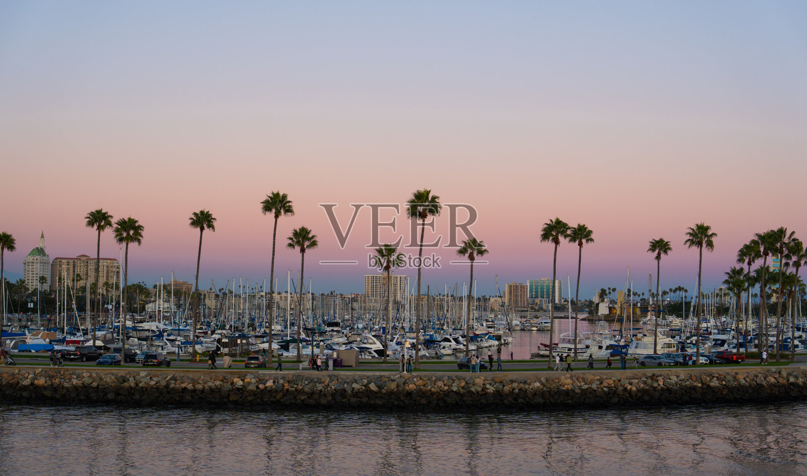 一个美丽的日落在一些棕榈树后面的水和一个港口照片摄影图片