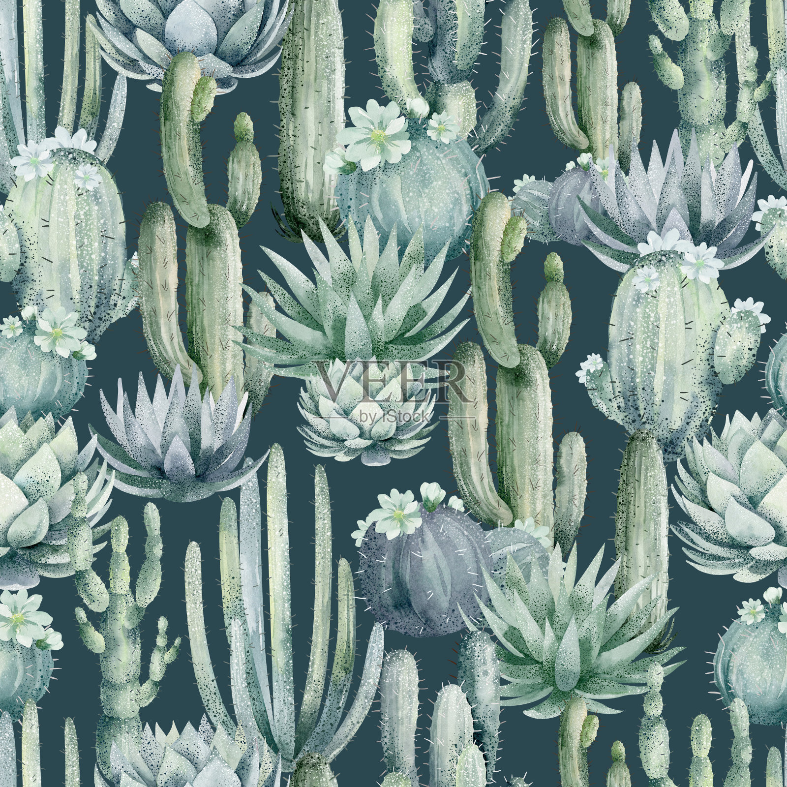 充满活力的水彩仙人掌和多肉植物无缝图案插画图片素材