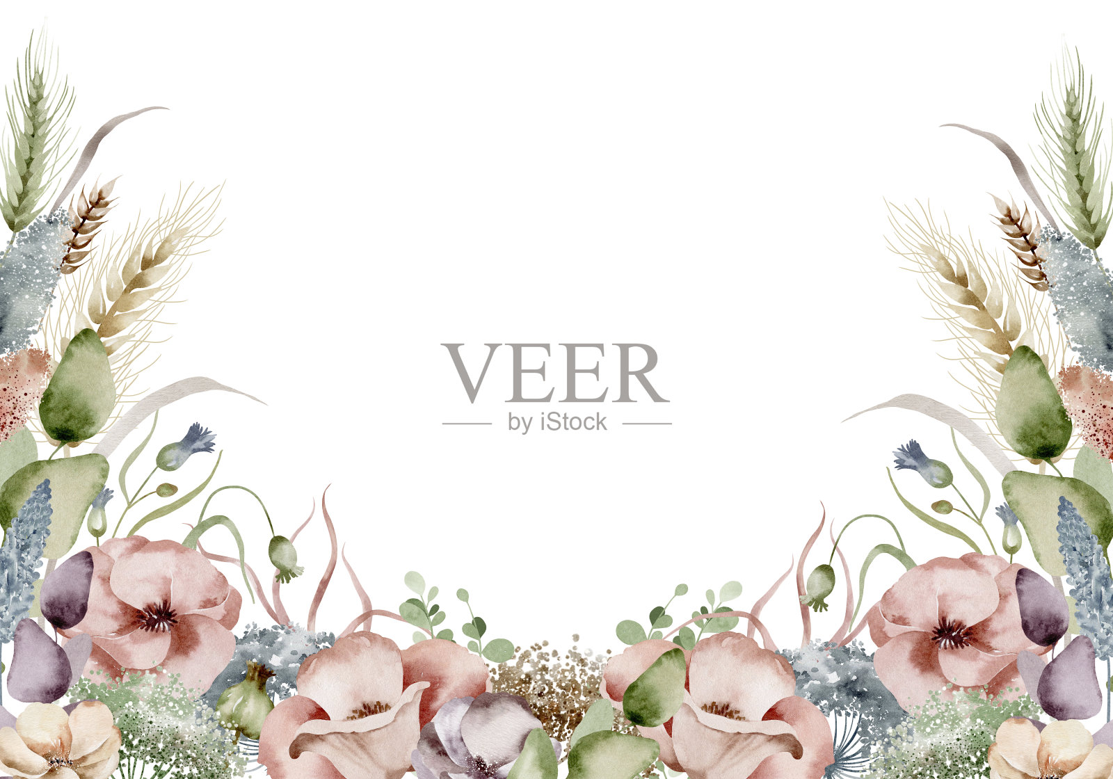 精致的水彩野花和小麦框架插画图片素材