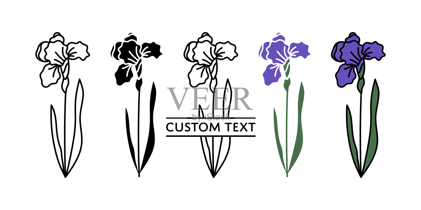 虹膜分裂名称框架轮廓轮廓二月出生月花插画图片素材