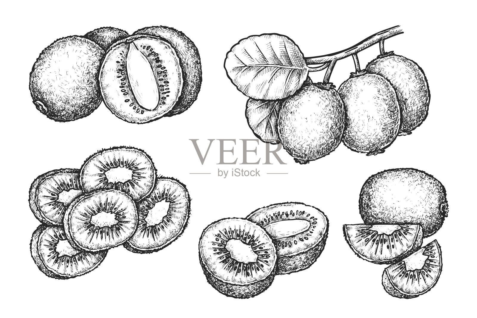 一套孤立的切片猕猴桃或猕猴桃。向量插画图片素材