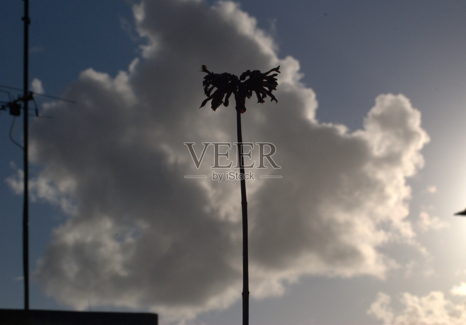 云照片摄影图片