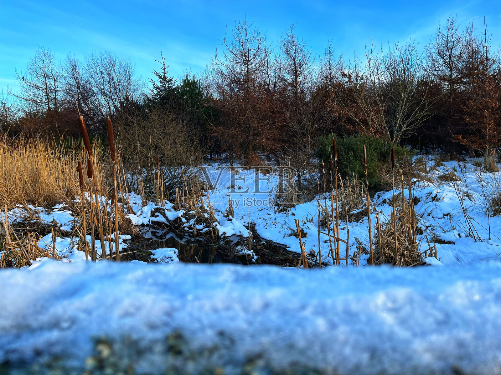 雪中的圣菲蒂克公园照片摄影图片