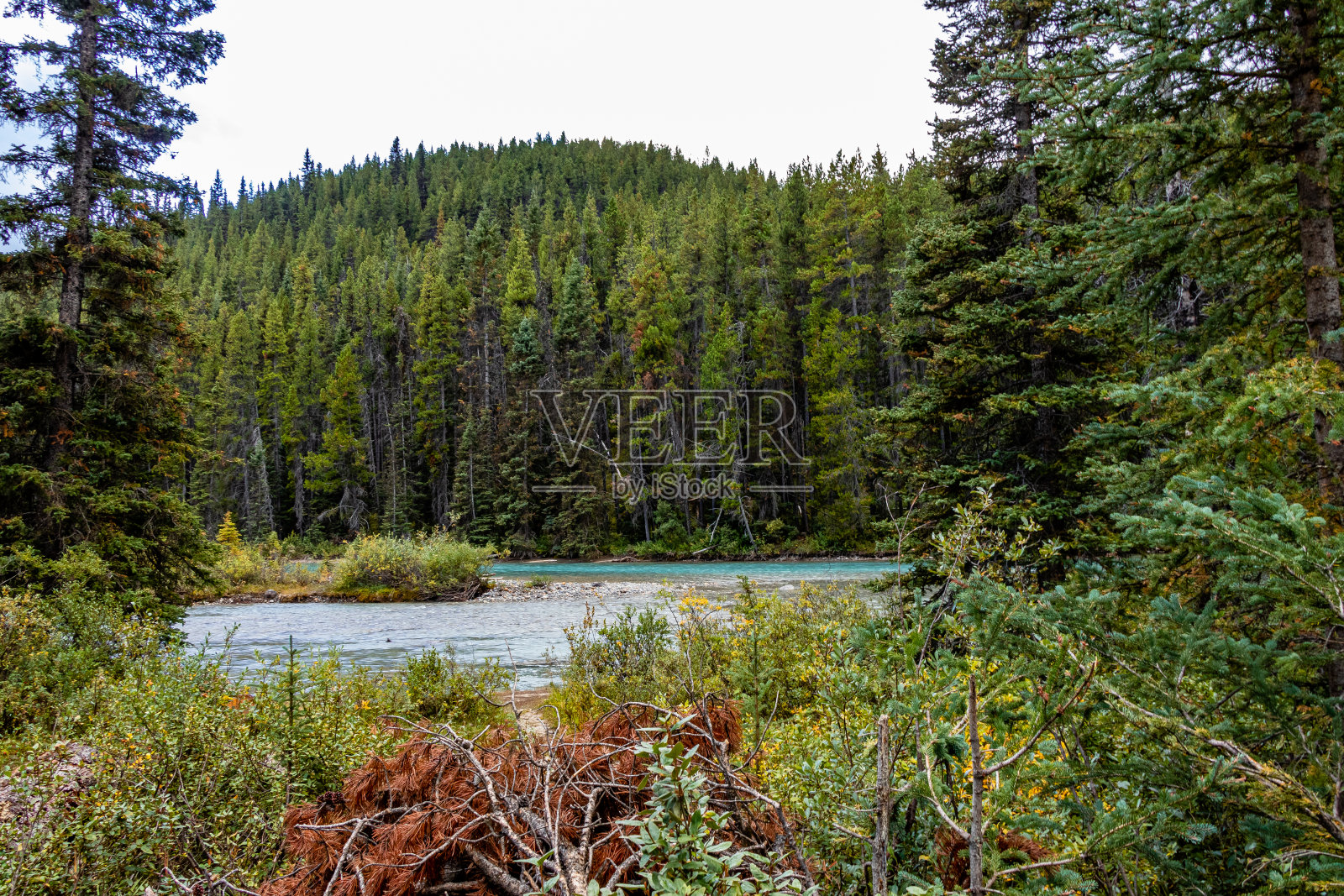 加拿大阿尔伯塔省路易斯湖班夫国家公园照片摄影图片