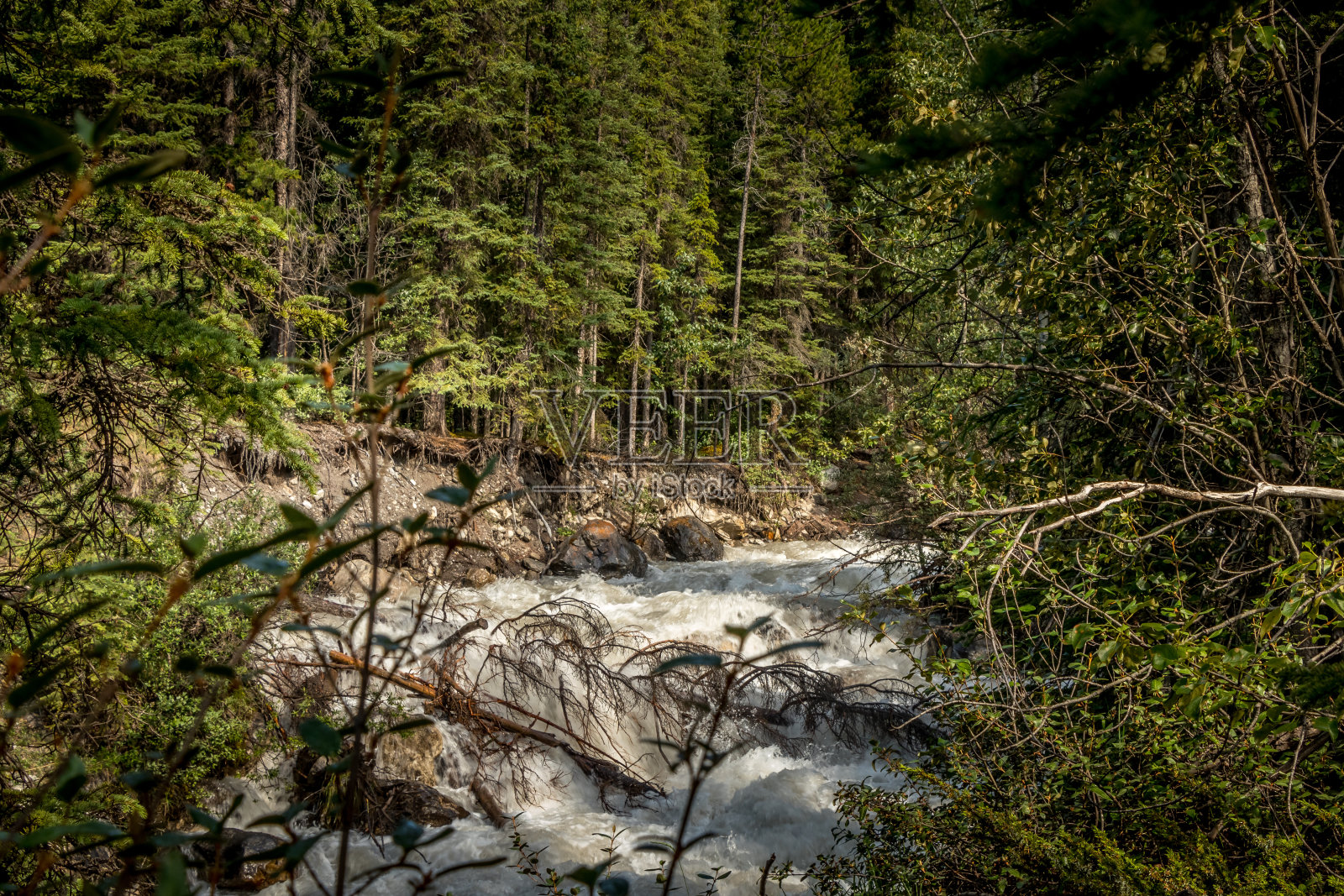 壁垒溪翻越岩石班夫国家公园加拿大阿尔伯塔省照片摄影图片
