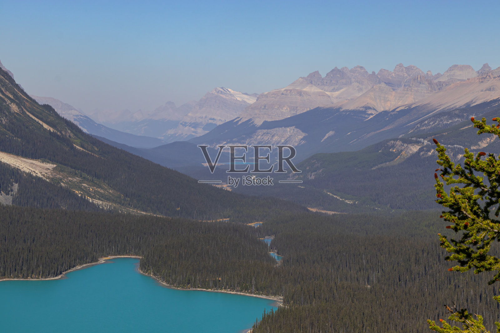 加拿大阿尔伯塔省班夫国家公园的佩托湖照片摄影图片