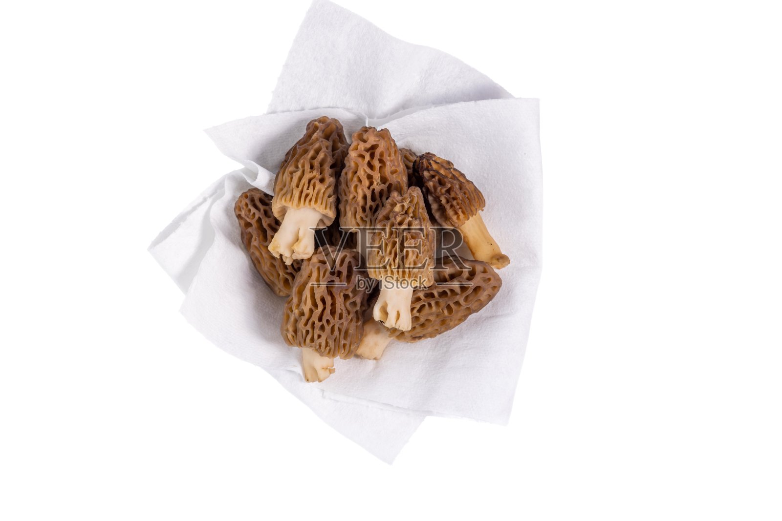 新鲜的羊肚菌在白色照片摄影图片