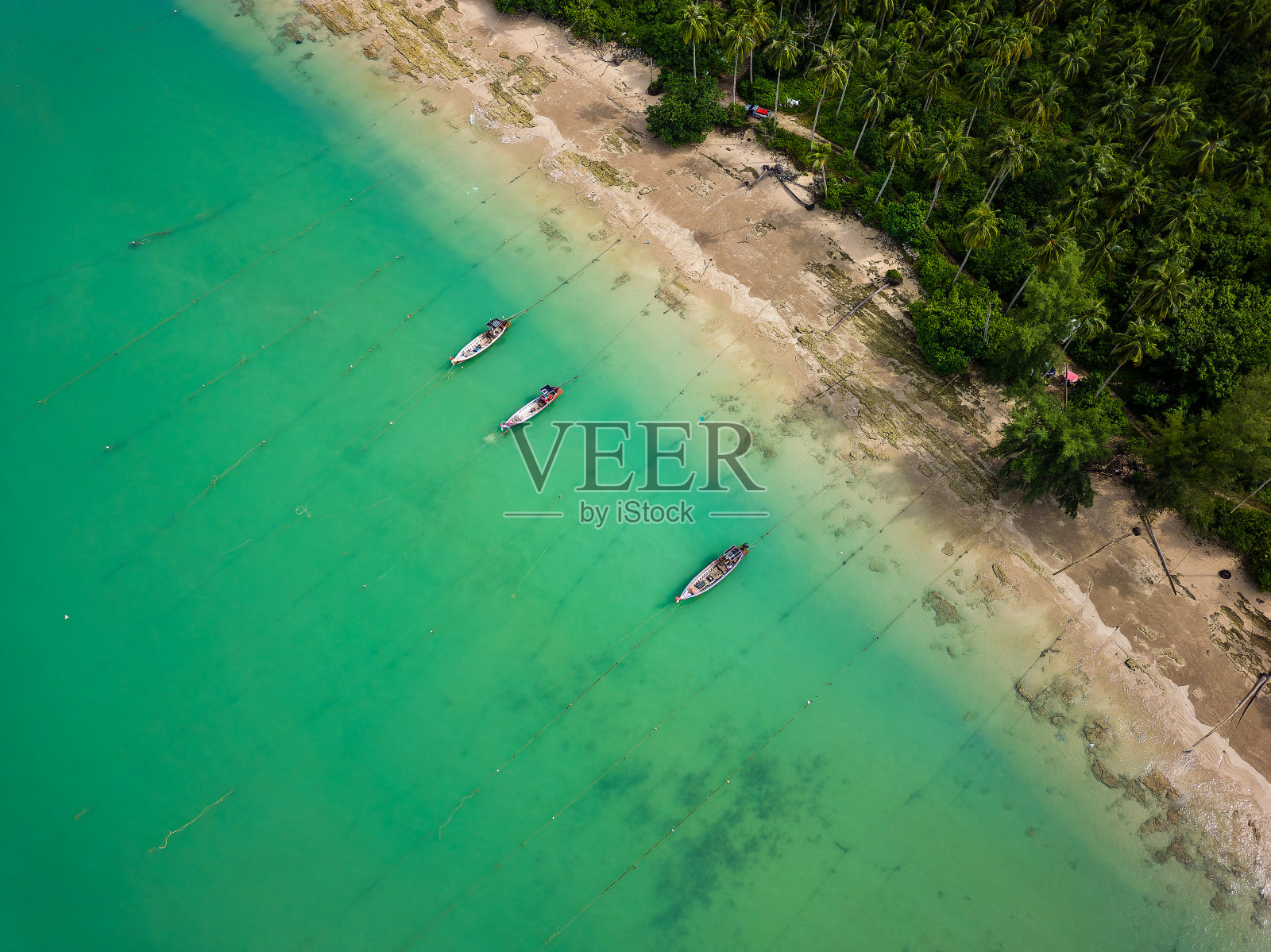 棕榈树环绕的热带海滩上传统长尾船的鸟瞰图照片摄影图片