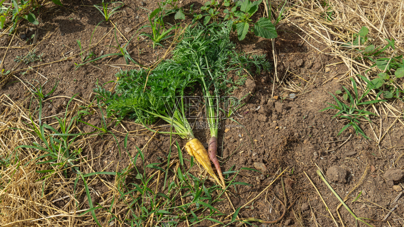 625照片摄影图片