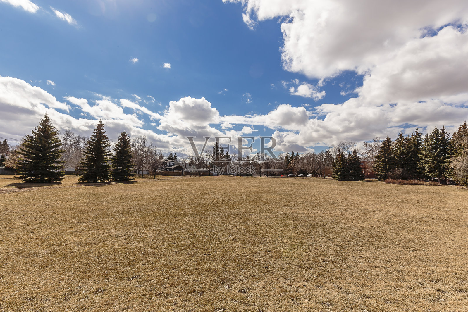 罗尔·瓦伦堡公园照片摄影图片