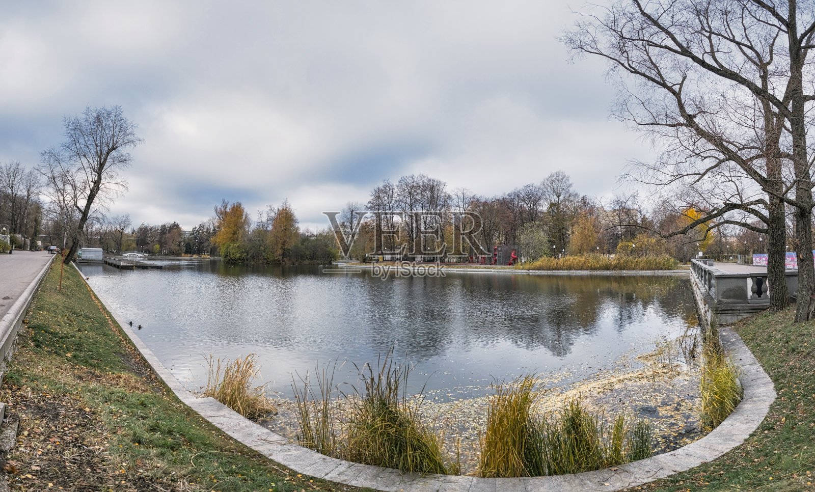 秋天，城市公园里的小池塘里有野鸭照片摄影图片