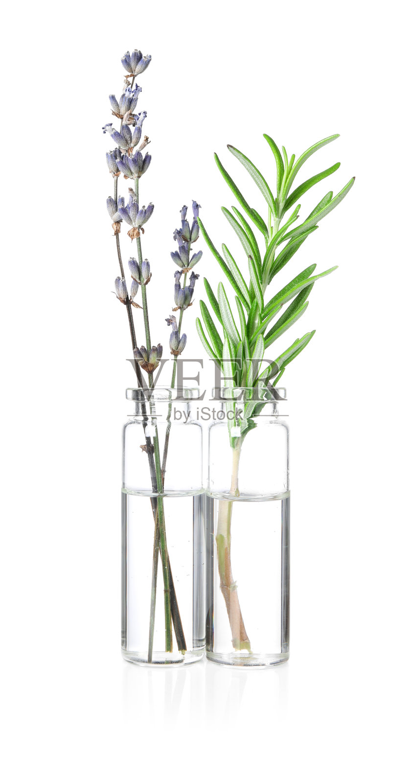 瓶装精油，薰衣草和迷迭香隔离在白色照片摄影图片