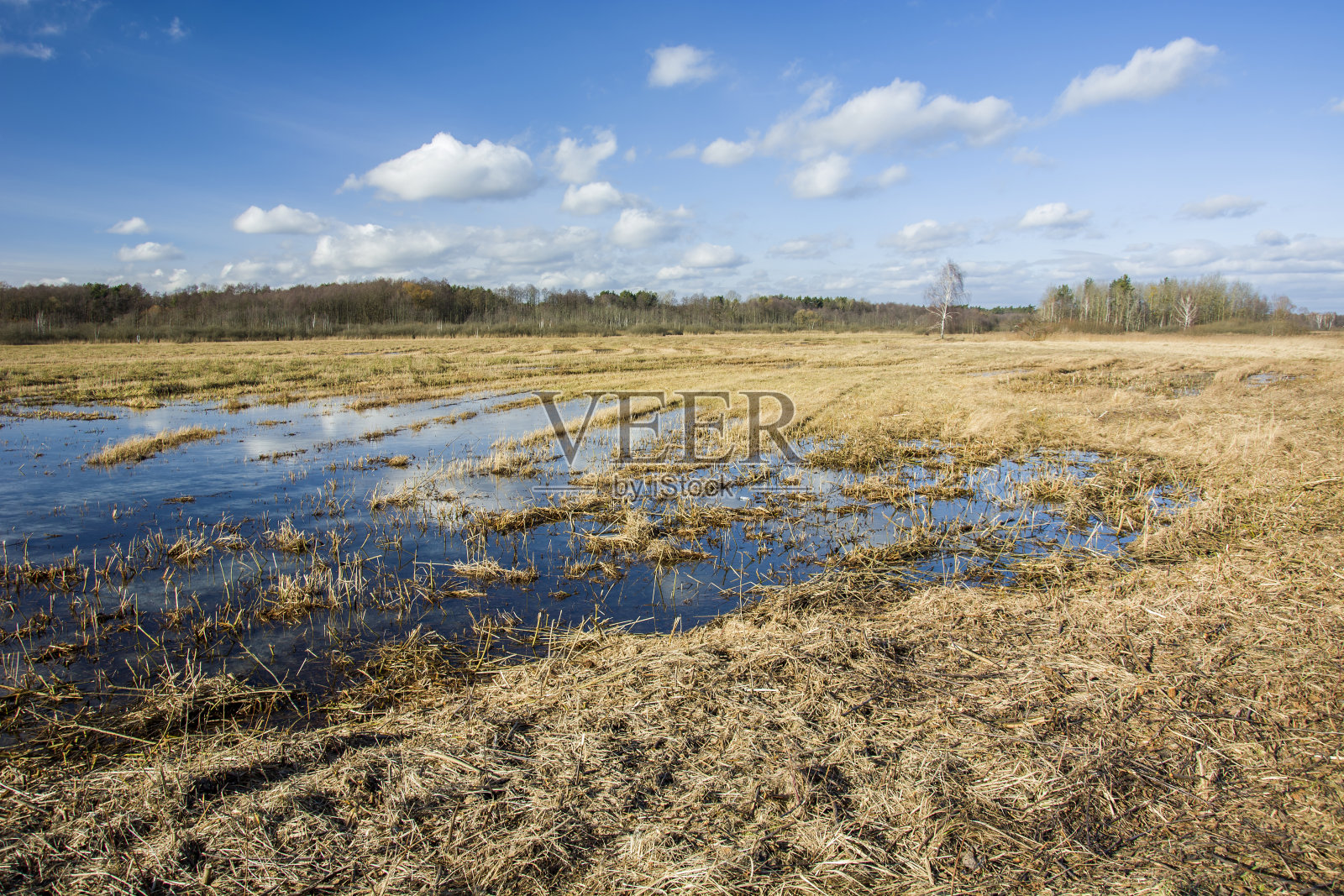 已割过的草地上的融水照片摄影图片