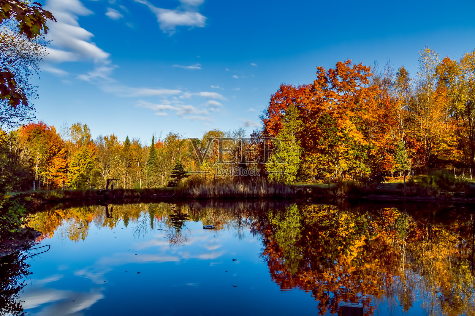 对联合早报的反思照片摄影图片