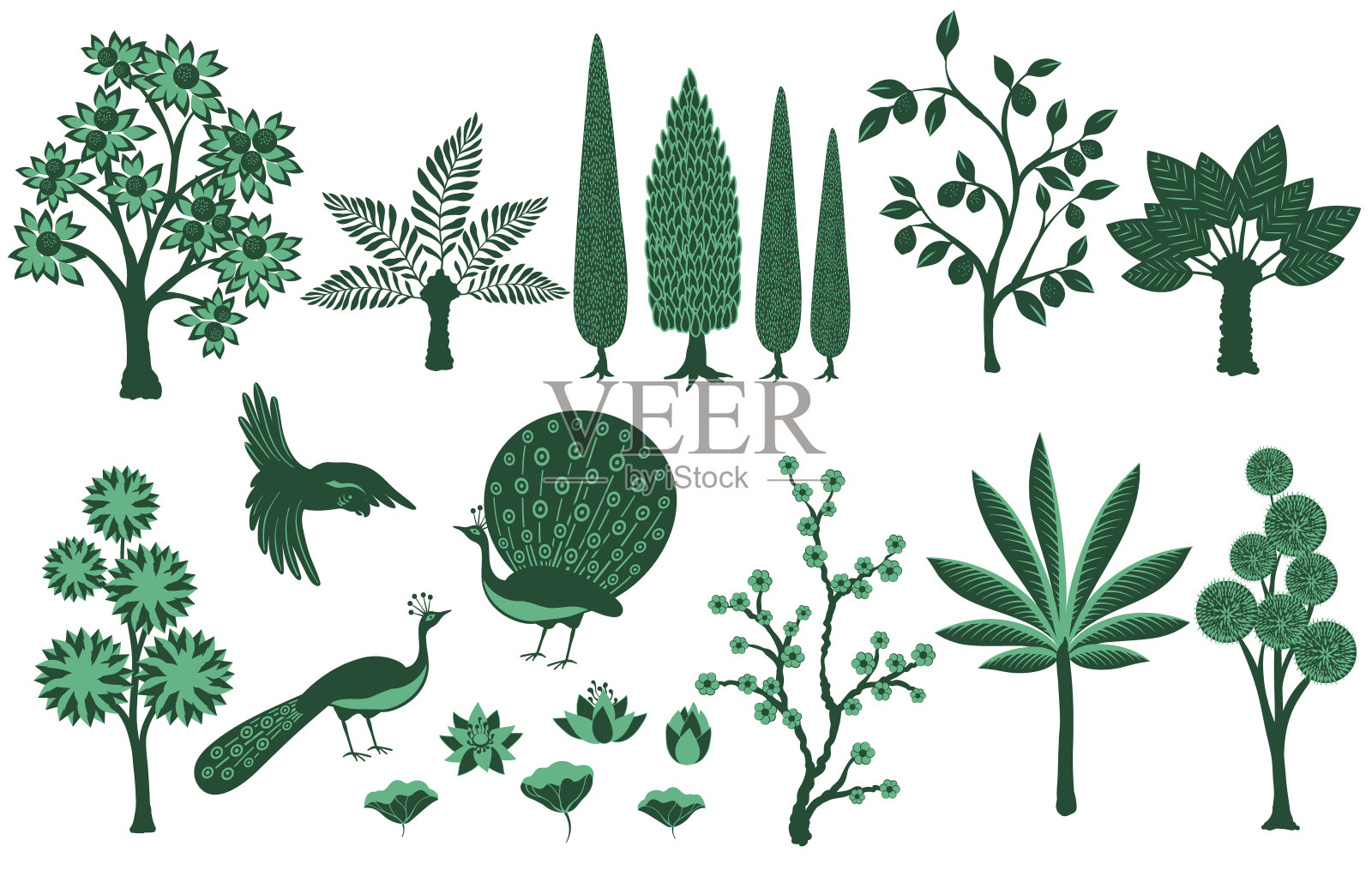 莫卧儿花园，棕榈树、荷花、孔雀集插画图片素材